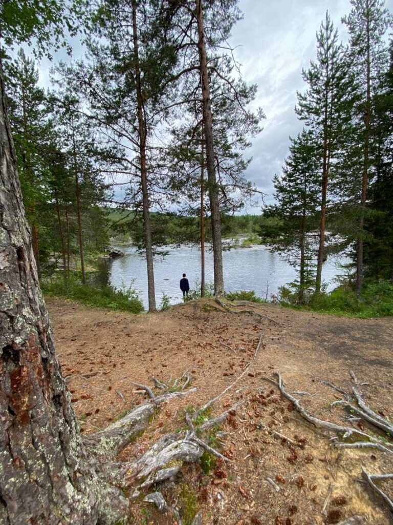 Zweden rivier uitzicht